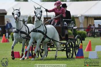 1.5.2018 - Mezöhegyes - parkur +...