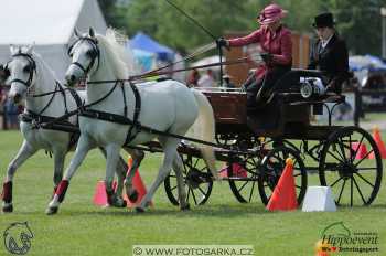 1.5.2018 - Mezöhegyes - parkur +...