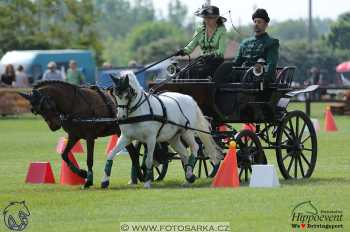1.5.2018 - Mezöhegyes - parkur +...