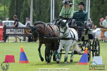 1.5.2018 - Mezöhegyes - parkur +...