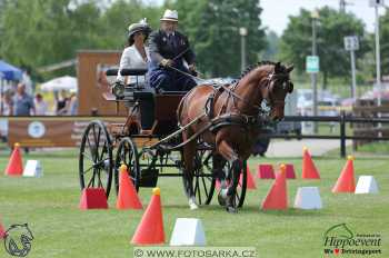 1.5.2018 - Mezöhegyes - parkur +...