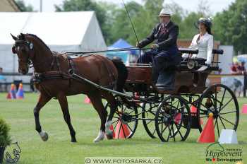 1.5.2018 - Mezöhegyes - parkur +...
