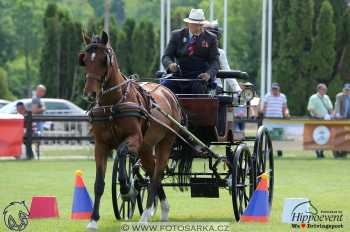 1.5.2018 - Mezöhegyes - parkur +...