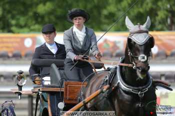 1.5.2018 - Mezöhegyes - parkur +...