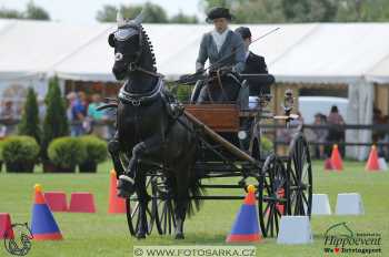 1.5.2018 - Mezöhegyes - parkur +...