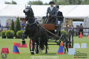 1.5.2018 - Mezöhegyes - parkur +...