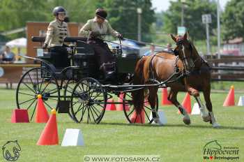 1.5.2018 - Mezöhegyes - parkur +...