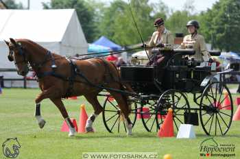 1.5.2018 - Mezöhegyes - parkur +...
