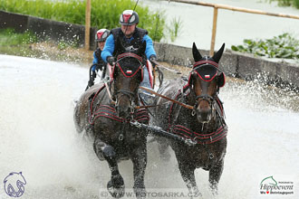 1.7.2017 - Nebanice maraton