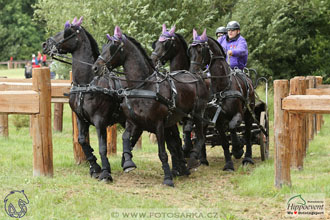 1.7.2017 - Nebanice maraton