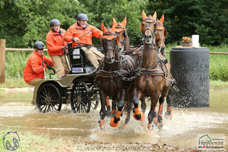 1.7.2017 - Nebanice maraton