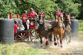 1.7.2017 - Nebanice maraton