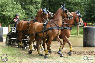 1.7.2017 - Nebanice maraton