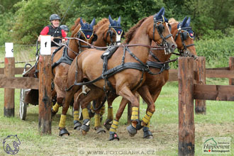 1.7.2017 - Nebanice maraton