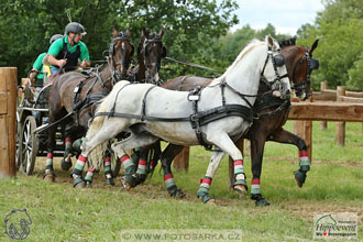 1.7.2017 - Nebanice maraton