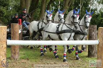 1.7.2017 - Nebanice maraton