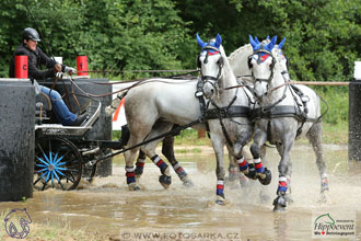 1.7.2017 - Nebanice maraton