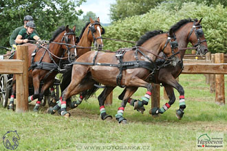 1.7.2017 - Nebanice maraton