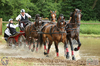 1.7.2017 - Nebanice maraton