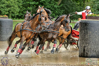 1.7.2017 - Nebanice maraton