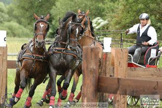 1.7.2017 - Nebanice maraton