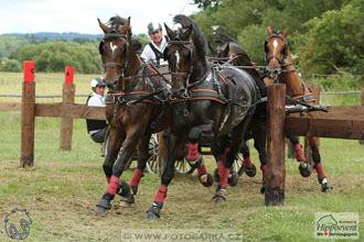 1.7.2017 - Nebanice maraton