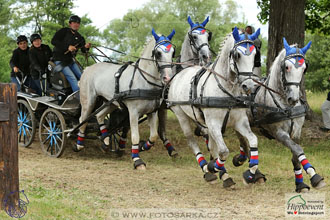 1.7.2017 - Nebanice maraton