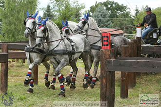 1.7.2017 - Nebanice maraton