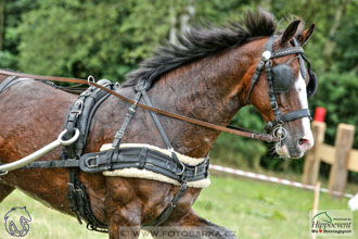 1.7.2017 - Nebanice maraton