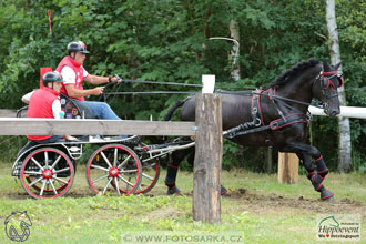 1.7.2017 - Nebanice maraton