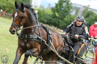 1.7.2017 - Nebanice maraton