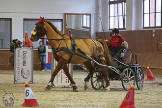 17.2.2018 - hobby spřežení Brno