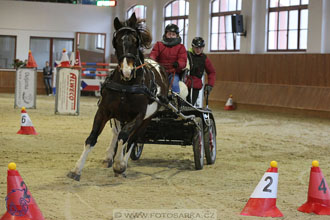 17.2.2018 - hobby spřežení Brno