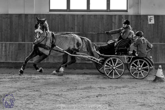 17.2.2018 - hobby spřežení Brno