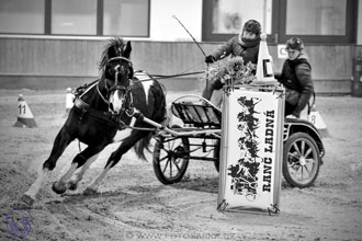 17.2.2018 - hobby spřežení Brno