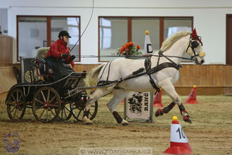 17.2.2018 - hobby spřežení Brno