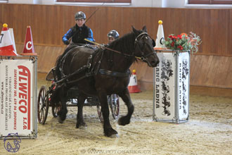 17.2.2018 - hobby spřežení Brno