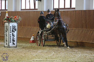 17.2.2018 - hobby spřežení Brno