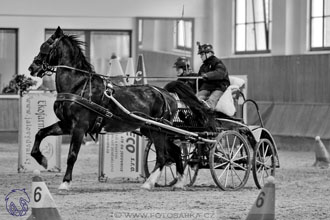 17.2.2018 - hobby spřežení Brno