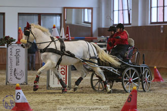 17.2.2018 - hobby spřežení Brno