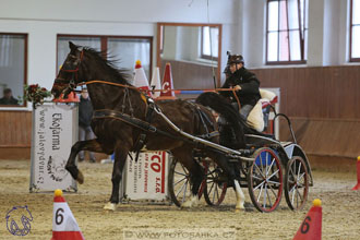 17.2.2018 - hobby spřežení Brno