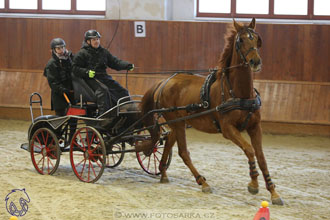 17.2.2018 - hobby spřežení Brno