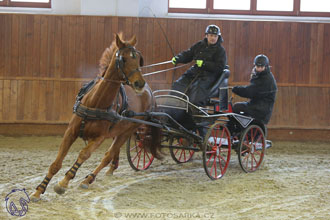 17.2.2018 - hobby spřežení Brno