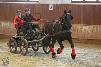 17.2.2018 - hobby spřežení Brno