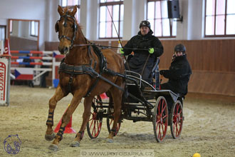 17.2.2018 - hobby spřežení Brno