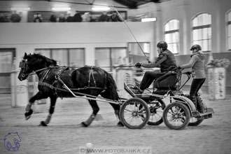 17.2.2018 - hobby spřežení Brno