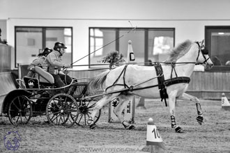 17.2.2018 - hobby spřežení Brno