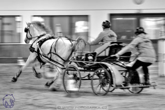 17.2.2018 - hobby spřežení Brno