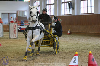 17.2.2018 - hobby spřežení Brno