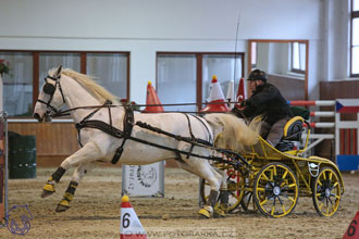 17.2.2018 - hobby spřežení Brno